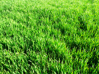 Similar image 21375158