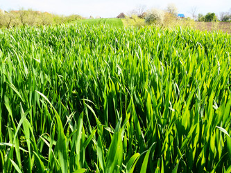 Similar image 21375373