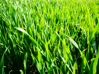 Similar image 21375374