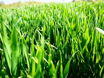 Similar image 21375689