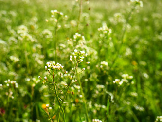 Similar image 21375690