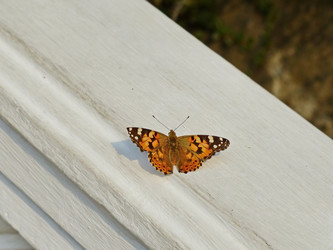 Similar image 21358680