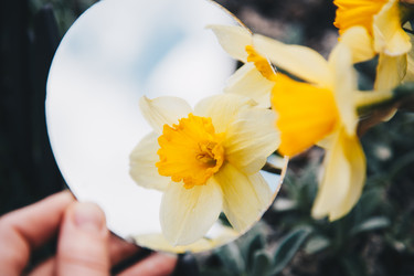 Similar image 21354204