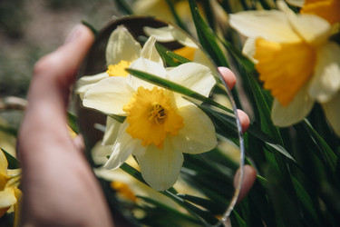 Similar image 21354205