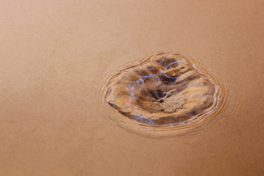 Similar image 21347331