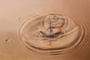 Similar image 21344725