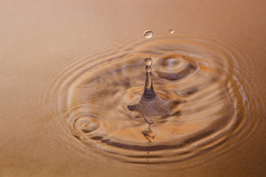 Similar image 21356484