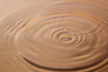 Similar image 21356485