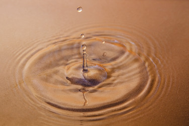 Similar image 21358002