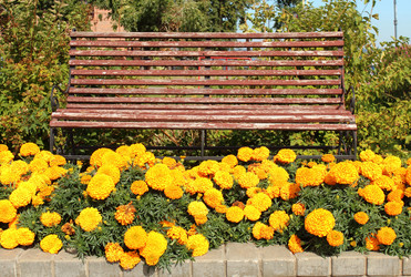 Similar image 21379075