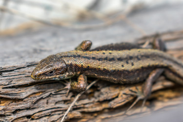 Similar image 21345308