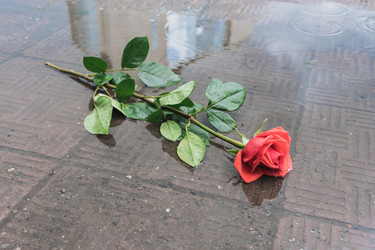 Similar image 21345313