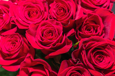 Similar image 21345541