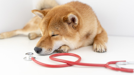 Similar image 21345680