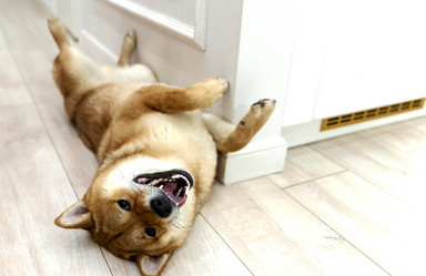 Similar image 21345681