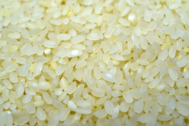 Similar image 21344210