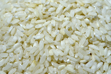 Similar image 21344212