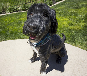 Similar image 21362184