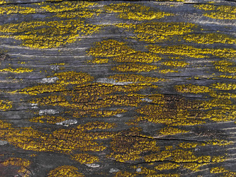 Similar image 21362189