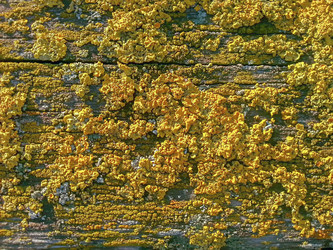 Similar image 21362192