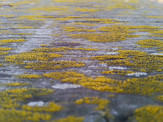 Similar image 21362193