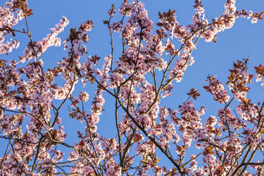 Similar image 21346649