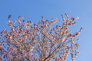 Similar image 21346650