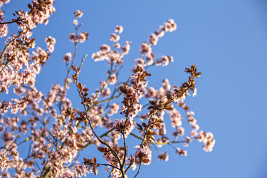 Similar image 21346651