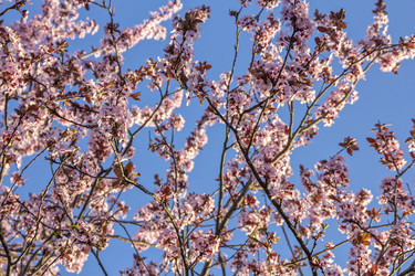 Similar image 21346652