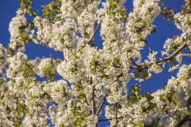 Similar image 21346653