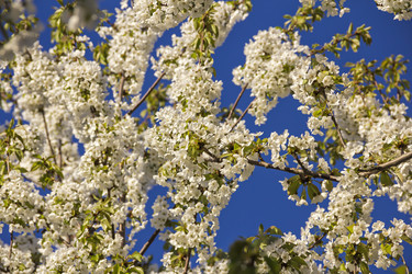 Similar image 21346654