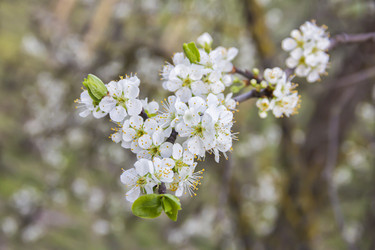 Similar image 21346655