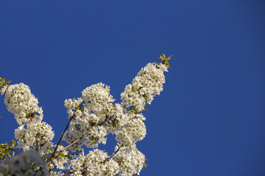 Similar image 21346656