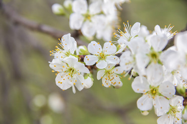 Similar image 21346659