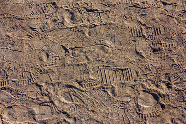 Similar image 21362120