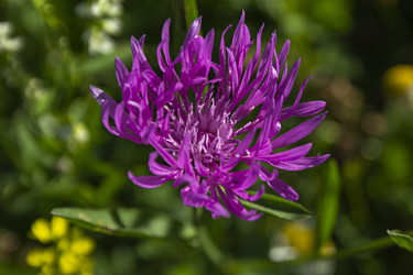 Similar image 21354423