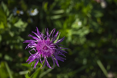 Similar image 21354428