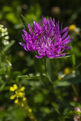 Similar image 21354436