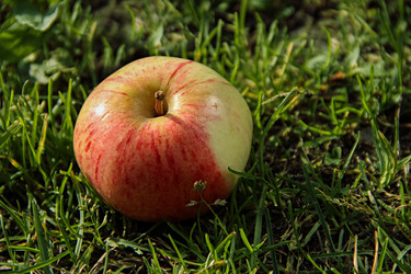 Similar image 21346470