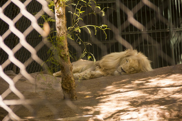 Similar image 21346473