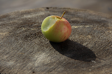 Similar image 21346474