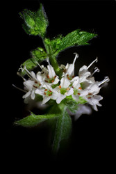 Similar image 21346475