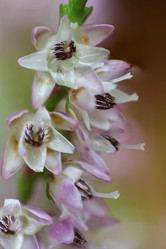 Similar image 21346566