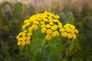 Similar image 21346567