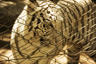 Similar image 21346568