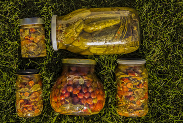 Similar image 21346569