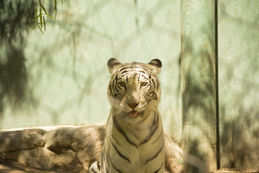 Similar image 21346574