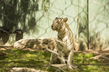 Similar image 21346575