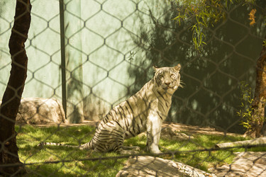 Similar image 21346576