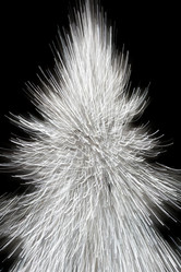 Similar image 21354439